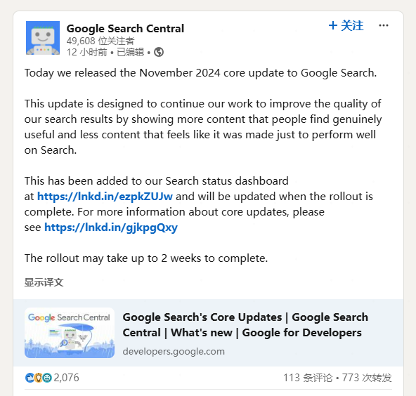 Google November 2024 Core Update Linkedin